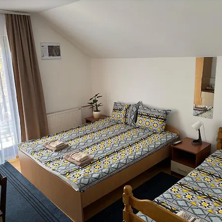 Guest house Lola Prolomska Banja